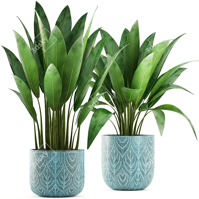 Banana Palm Indoor Plant Collection 3D model image 1