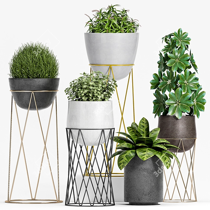 DuoPlanter - Modern Plant Set 3D model image 1