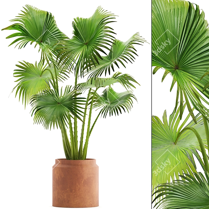 Indoor Clay Pot Palm 3D model image 1