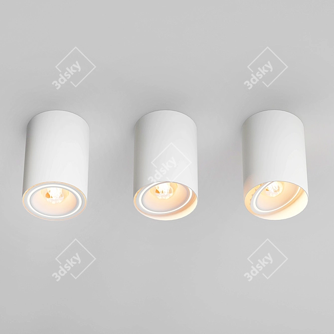 Elegant Ceiling Lamps for Modern Homes 3D model image 1