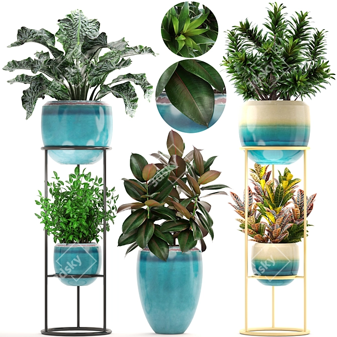 Tropical Plant Collection: Croton, Codiaeum, Dracaena, Alocasia, Ficus, Tradescantia 3D model image 1