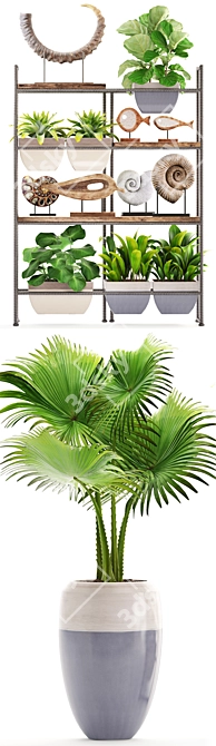 Title: Tropical Decor Set 3D model image 2