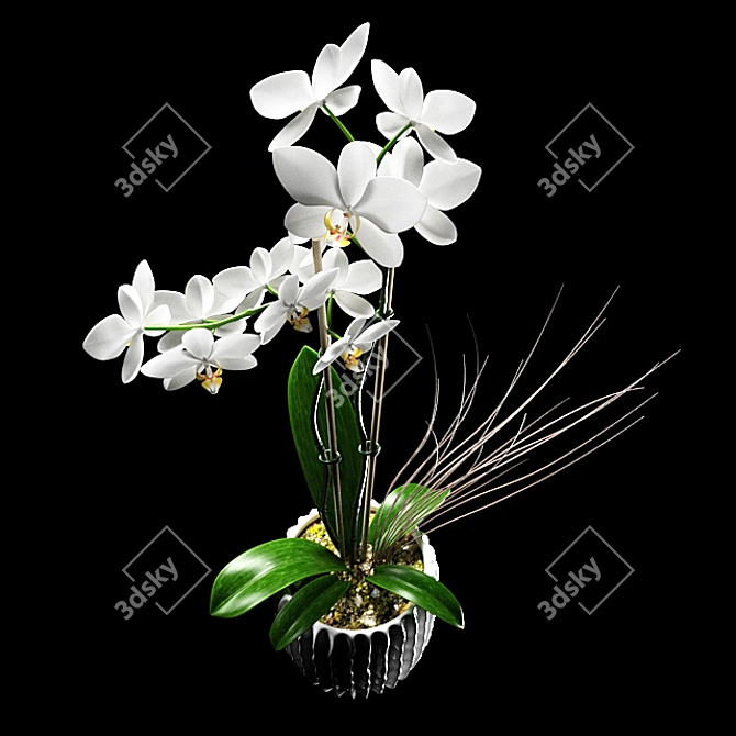 White Orchid Flower Decorative Pot 3D model image 2