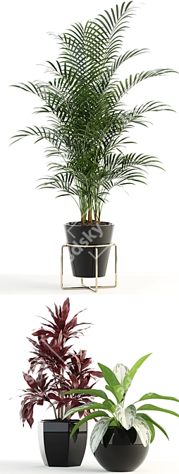 Botanical Bliss: Delightful Plants Collection 3D model image 2