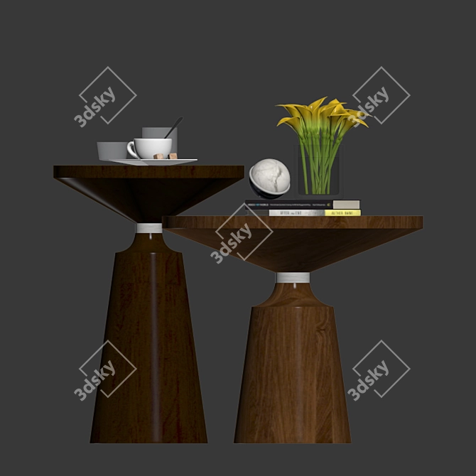 Nicole Modern Oak Coffee Table Set 3D model image 2