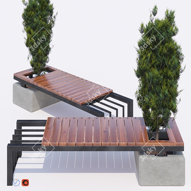 Elegant Bench with Thuja: Stylish Outdoor Seating 3D model image 1