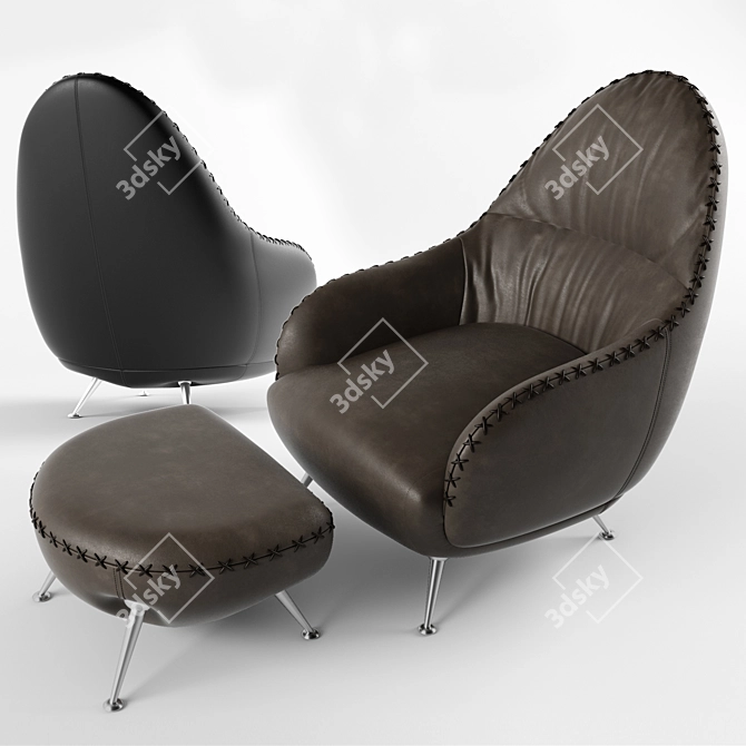 Luxurious De Sede DS-102 Armchair Set 3D model image 1