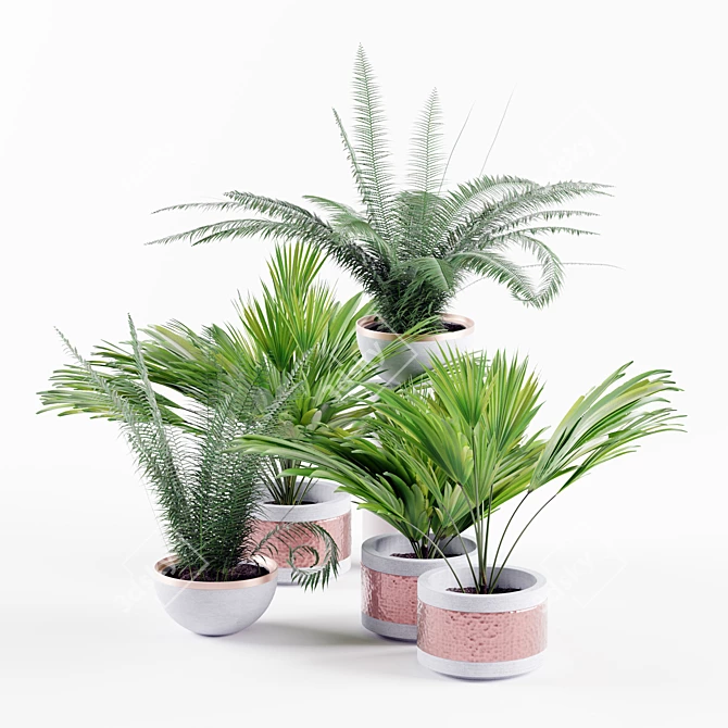 Tropical Greenery: 3 Palm & 2 Fern 3D model image 2