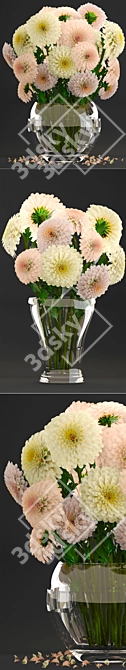 Elegant Dahlias Collection: Beautiful Spring Flowers 3D model image 2