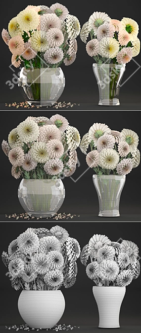 Elegant Dahlias Collection: Beautiful Spring Flowers 3D model image 3