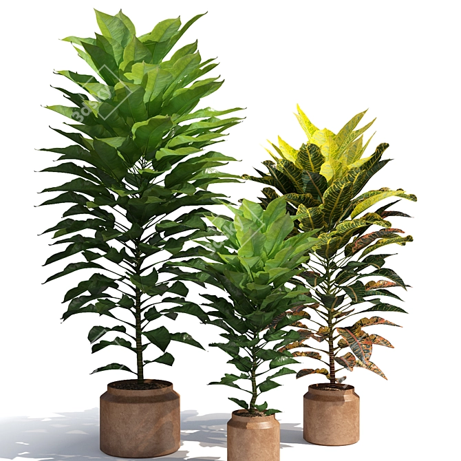 Tropical Elegance: Cordyline & Codiaeum 3D model image 1