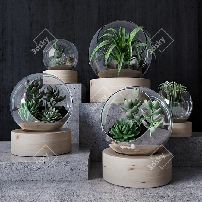 Succulent Florarium Set 3D model image 1
