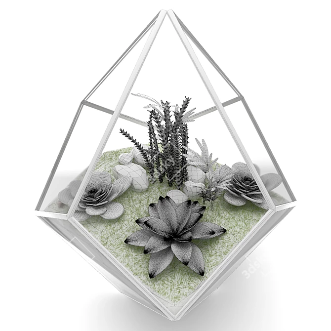 EcoSphere Glass Terrarium 3D model image 3