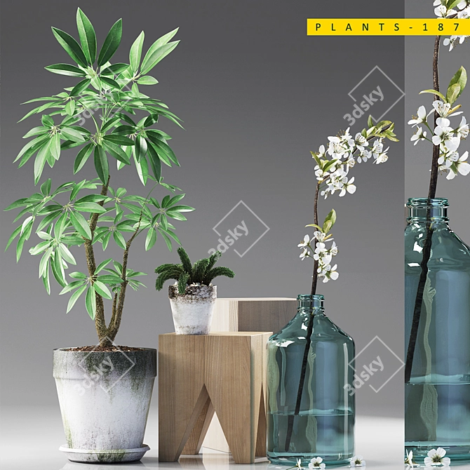  Green Oasis: 187 Plant Varieties 3D model image 1