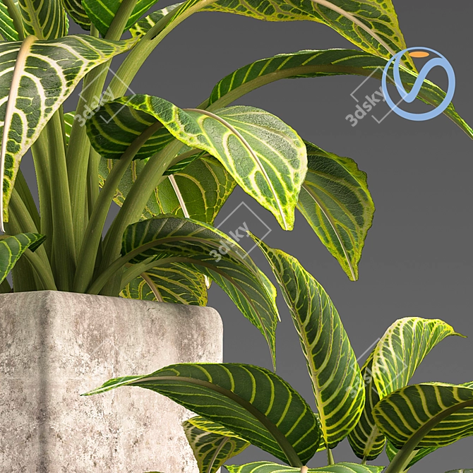 Natural Greenery: PLANTS 01 3D model image 2