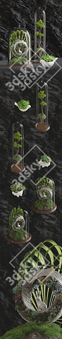 Succulent Forest: Miniature Botanical Showcase 3D model image 2