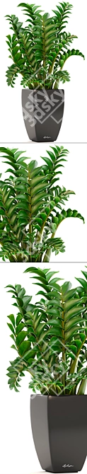 Lechuza Zamioculcas: Stunning Indoor Plant in Modern Pot 3D model image 2