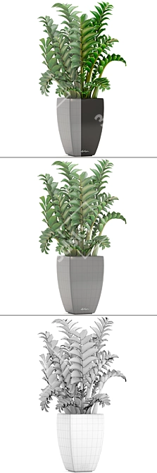 Lechuza Zamioculcas: Stunning Indoor Plant in Modern Pot 3D model image 3