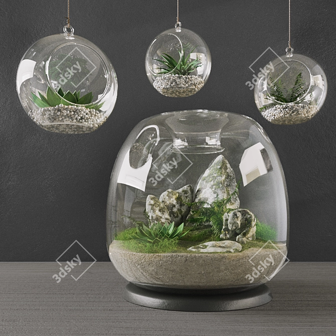 Elegant Terrarium Set: Enhance Your Interior 3D model image 1