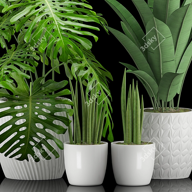 Geometric Pot Plant Trio 3D model image 2