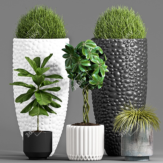 Botanical Bliss: Decorative Plant Set 3D model image 1