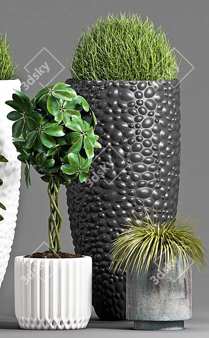 Botanical Bliss: Decorative Plant Set 3D model image 2