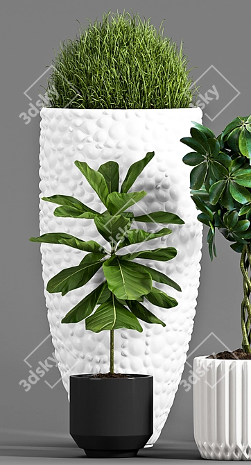 Botanical Bliss: Decorative Plant Set 3D model image 3