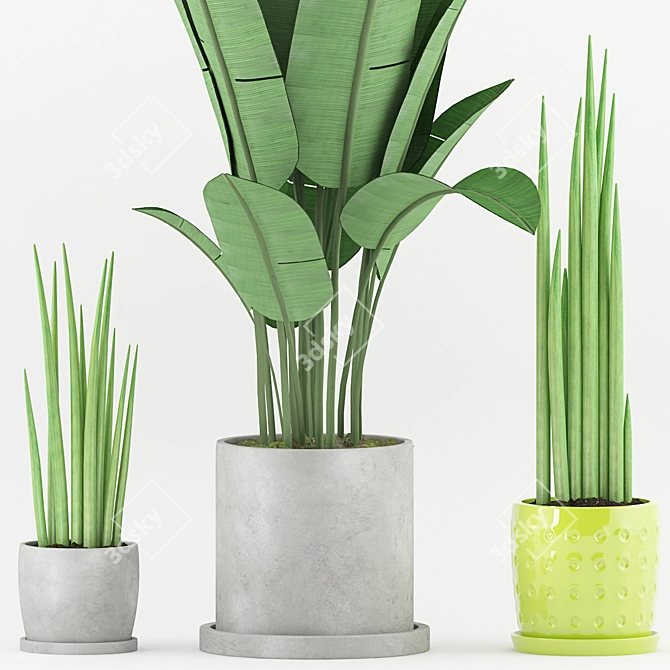 Geometric Banana Plant in Concrete Pot 3D model image 2