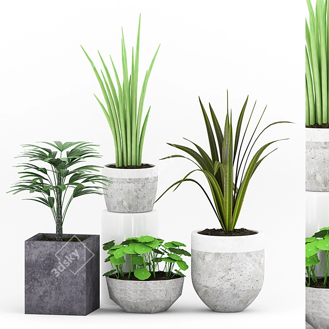 Elegant Plant Collection in Concrete Pot 3D model image 1