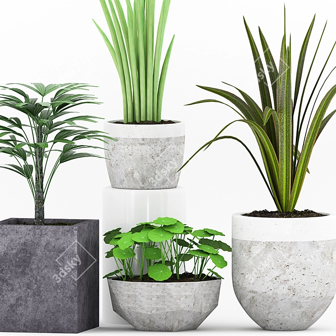 Elegant Plant Collection in Concrete Pot 3D model image 2