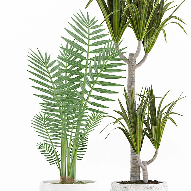 Tropical Plant Collection with Concrete pot 3D model image 2