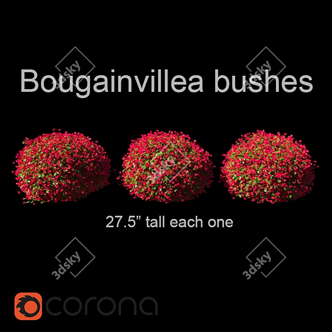  Vibrant Bougainvillea Bushes 3D model image 1