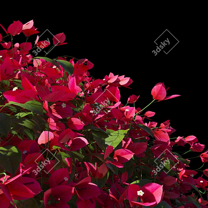  Vibrant Bougainvillea Bushes 3D model image 3