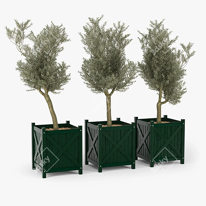 Elegant Olive Tree Model 3D model image 1