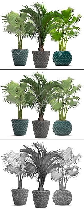Tropical Palm Paradise Collection 3D model image 3