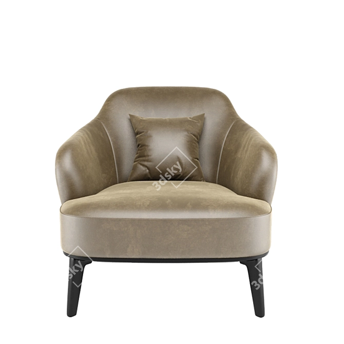 Luxurious Leslie Leather Armchair - Minotti 3D model image 2