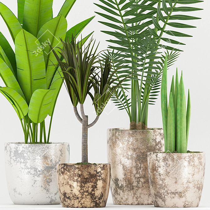 Rusty Pot Plant Set: Dracaena, Baana, Sansevieria & Palm 3D model image 2