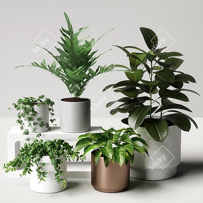 Versatile 3D Plant Collection 3D model image 1