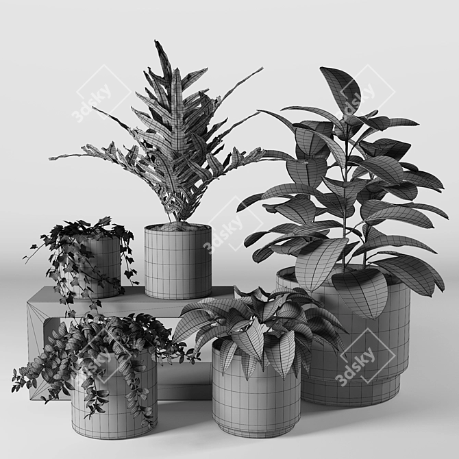 Versatile 3D Plant Collection 3D model image 7