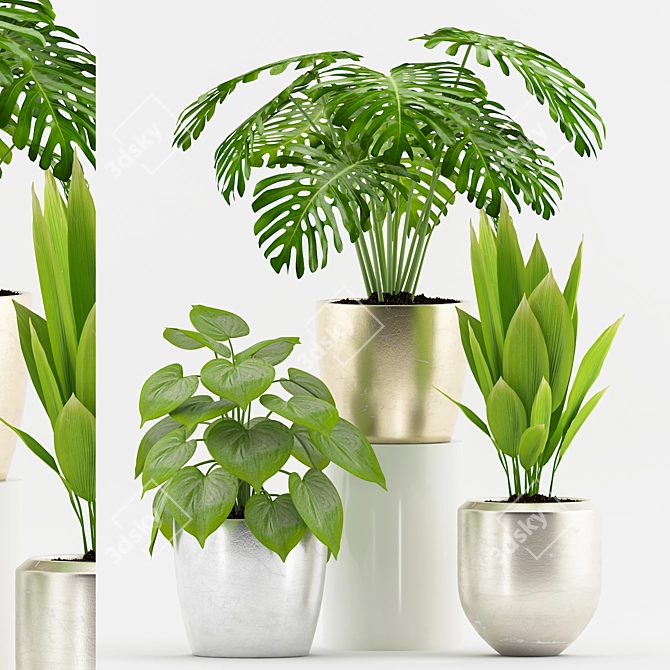 Botanical Bliss: Philodendron, Palm, and Monstera Set 3D model image 1