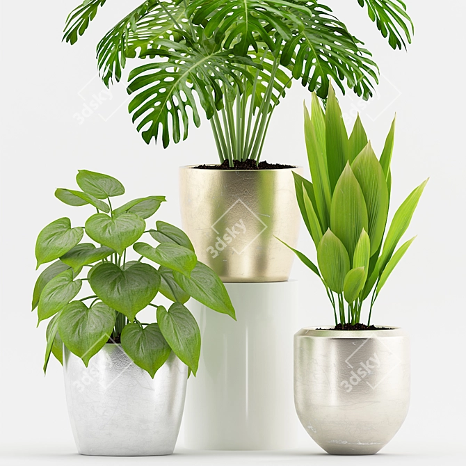 Botanical Bliss: Philodendron, Palm, and Monstera Set 3D model image 2