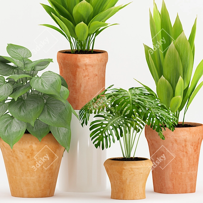 Tropical Plant Trio in Terracotta 3D model image 2