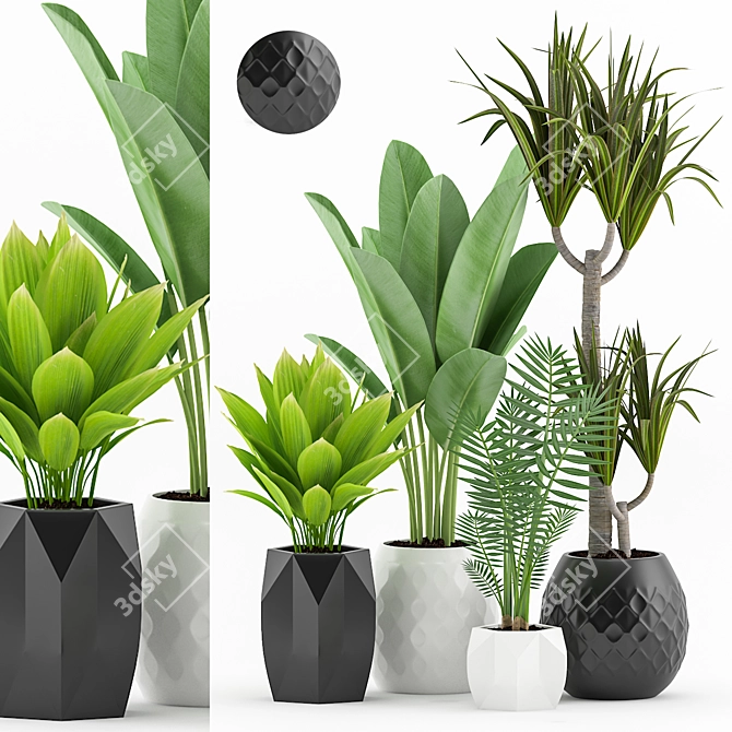 Tropical Plant Bundle: Palm, Dracaena, Marginata 3D model image 1