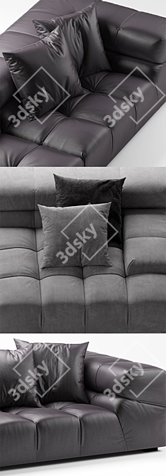 Elegant Leather Sofa by B&B Italia 3D model image 2