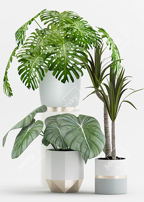 Tropical Plant Collection with Metal Pot 3D model image 2