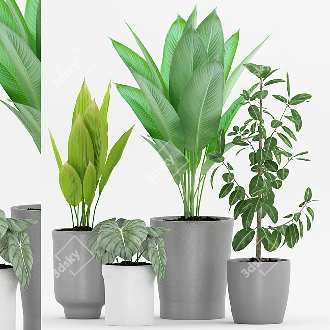 Modern Indoor Plant Collection 3D model image 1