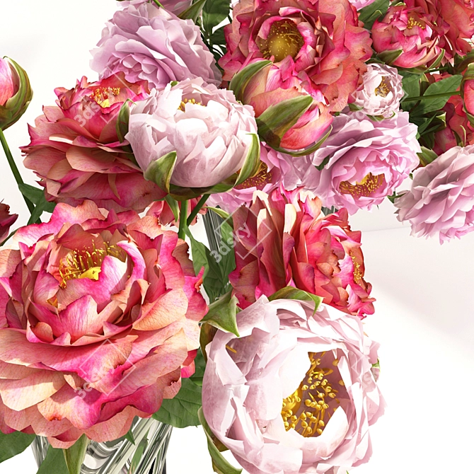 Elegant Peony Blossoms 3D model image 2