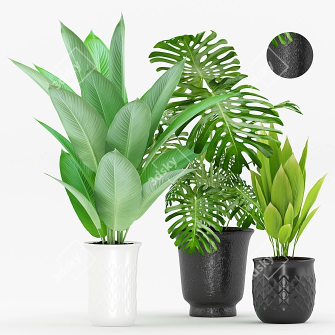 Tropical Greenery in Modern Pot 3D model image 1