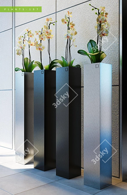 Vintage Plant Collection 3D model image 2