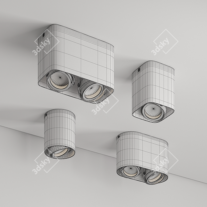 MONTALA Ceiling Surface Light Fixture 3D model image 2